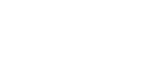 SNMR